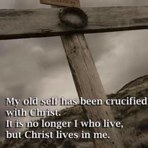 Meet your Posher, Janice